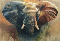 It Started With An Elephant
