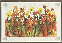 WatercolorJo